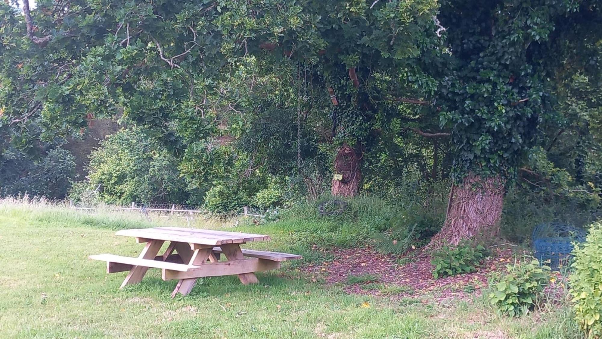 Tente Insolite En Pleine Nature Treduder Buitenkant foto